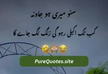 10+ Most Funny poetry in urdu Funny poetry in urdu