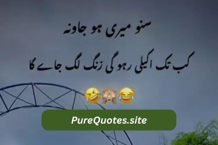 Funny poetry in urdu Funny poetry in urdu