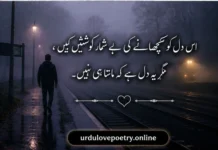 Best 30+ 2 Line Shayari Sad Poetry in Urdu & Heart Touching Shayari text Copy & Paste sad poetry in urdu