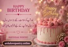 40+ Happy Birthday Poetry in Urdu 2 Line For Birthday Wishes & Shayari happy birthday poetry in Urdu
