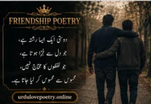 50+ Friendship Poetry in Urdu – Best Dosti Shayari, Two Lines SMS & Urdu Text Friendship Poetry in Urdu