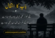 Sad Father Death Poetry in Urdu and Quotes 2 Lines Mout Ki Shayari father death poetry in urdu