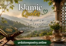 90+ Beautiful Islamic Quotes in Urdu, English & Hindi About Life, Inspiration, Motivation, Love, Husband & Wife, Friendship and Death islamic quotes in urdu