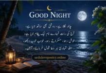80+ Good Night Quotes and Poetry Funny, laugh, Romantic, Sad, Motivational and Sweet Dreams, English, Urdu & Hindi 2026 Good Night Quotes and Poetry