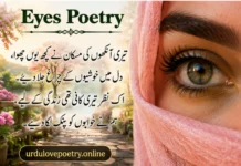 Best 70+ Beautiful Urdu Poetry on Eyes 2 Line SMS, English & Hindi 2026 Urdu Poetry on Eyes