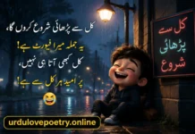 70+ Funny Poetry in Urdu 2 Lines for Friends, Girls, Students, Teachers & Boys Copy Paste funny poetry in urdu