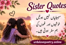 200+ Best Sister Quotes in Urdu, Hindi & English About Love, Bond, Birthday, Friendship, Inspirational, Brother, Funny, One-Line, Biblical, Beautiful & Sisterhood Sister Quotes