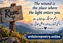 100+ Famous Rumi Quotes in Urdu, English & Hindi About Love, Life, Death,favorite, great, Sky, Maulana Jalaluddin Rumi, Deep & Inspirational Quotes Rumi Quotes