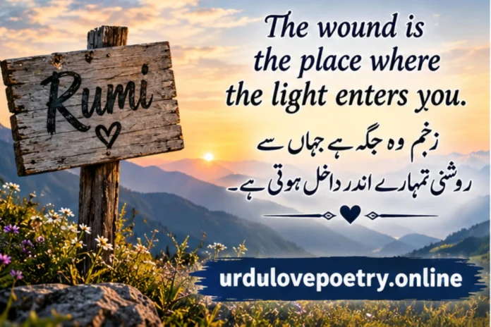 Rumi Quotes Rumi Quotes