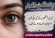 50+ Best Ankhain Poetry in Urdu, English & Hindi Romantic, Sad, Beautiful, Love, Gulab & Girl Kamal Eyes Shayari 2 Lines Copy Paste Text ankhain poetry in Urdu